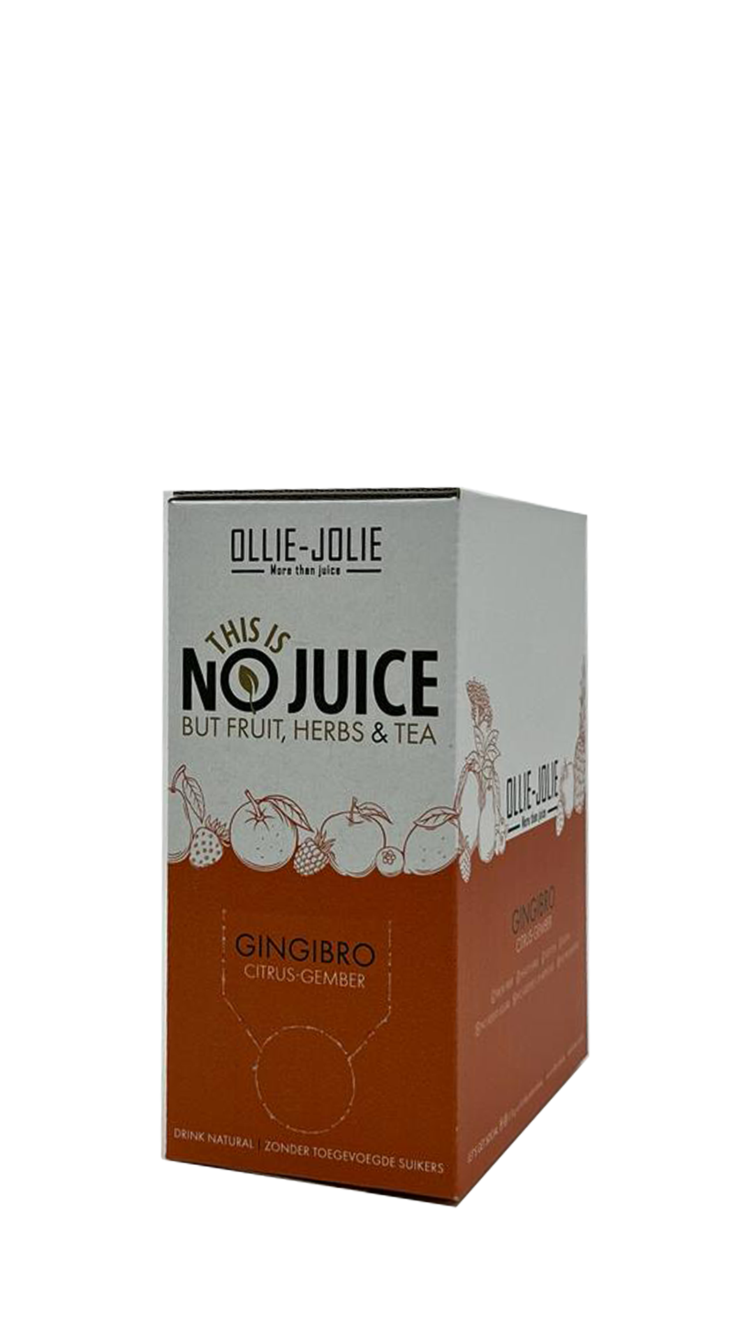 GINGIBRO 3L (citrus-gember)